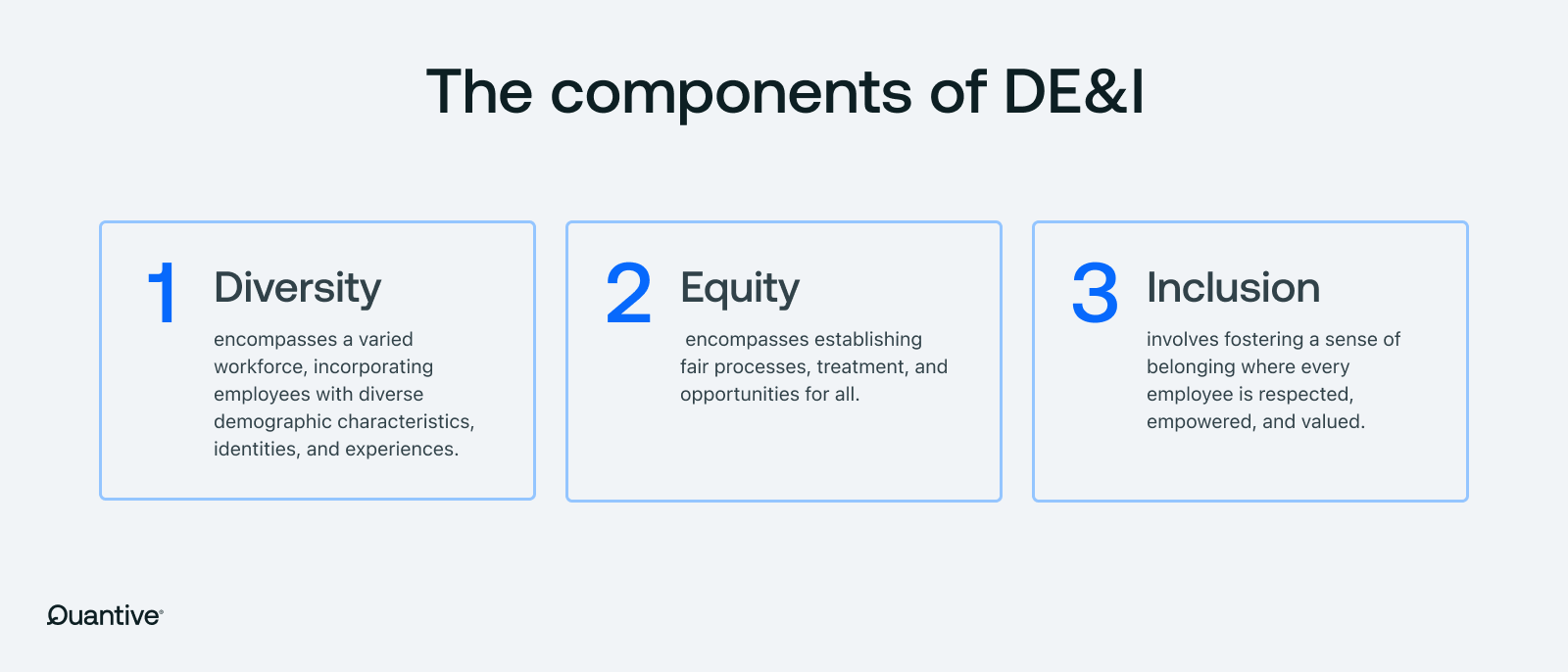 The components of DE&I